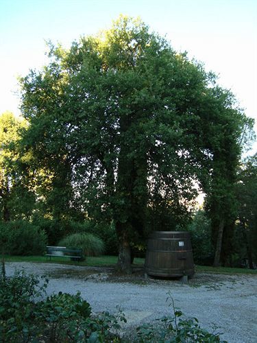 Agriturismo Il Villino Fonterutoli 외부 사진
