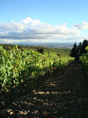 Agriturismo Il Villino Fonterutoli 외부 사진